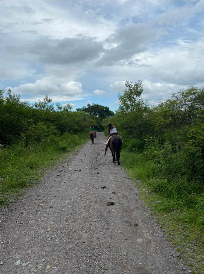 סלטה Paseo De Los Poetas Esteco 260 מראה חיצוני תמונה
