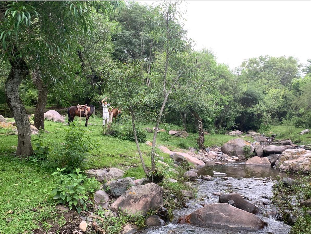 סלטה Paseo De Los Poetas Esteco 260 מראה חיצוני תמונה